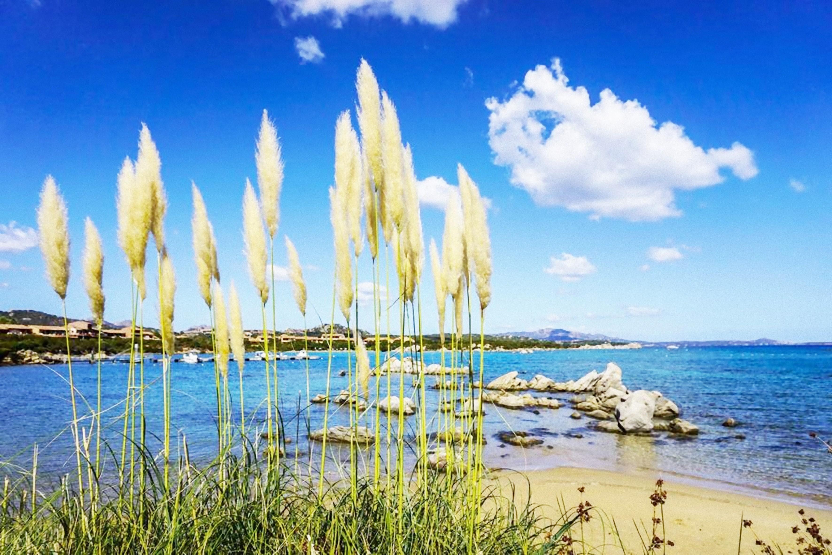 Baia De Bahas - Apartments & Resort Marinella  Buitenkant foto