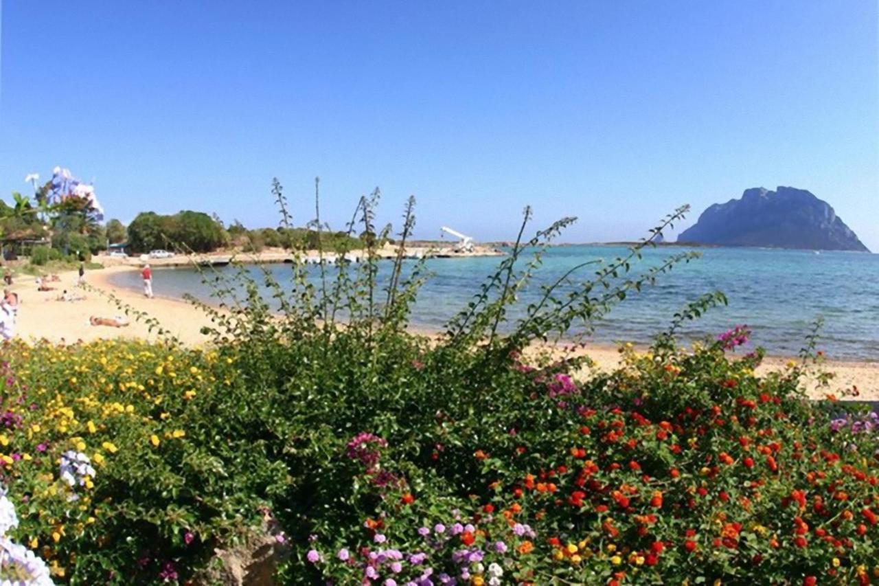 Baia De Bahas - Apartments & Resort Marinella  Buitenkant foto